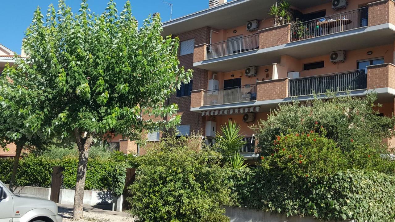 Casina Carina Carina Apartment Nettuno Luaran gambar